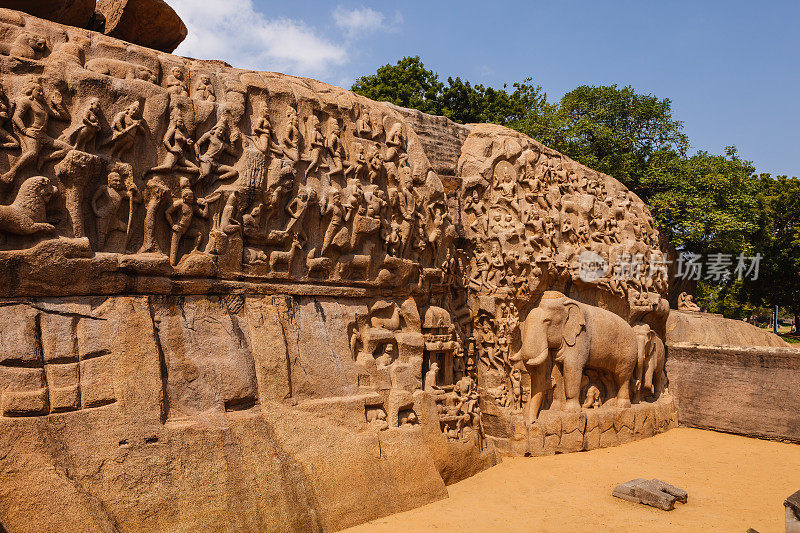 Mahabalipuram Or Mamallapuram, Tamil Nadu, India - The Early 7th Century Open-air Relief Sculpture Called The Descent Of The Ganges Sculpted On A Single Piece Of Granite.